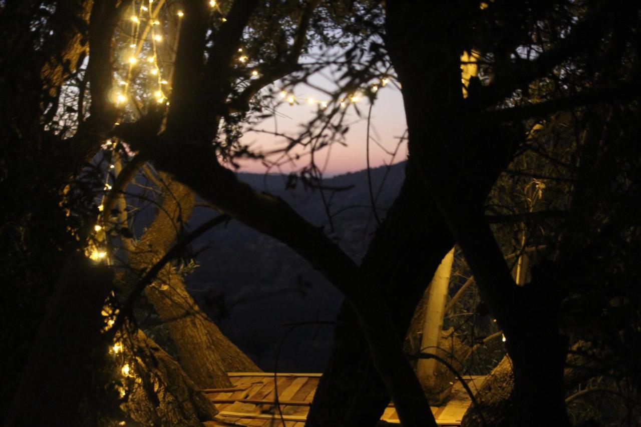 Hobbit Village Camping