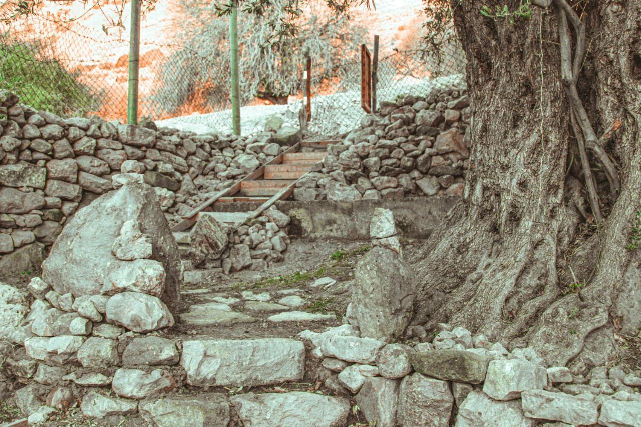 Hobbit Village *